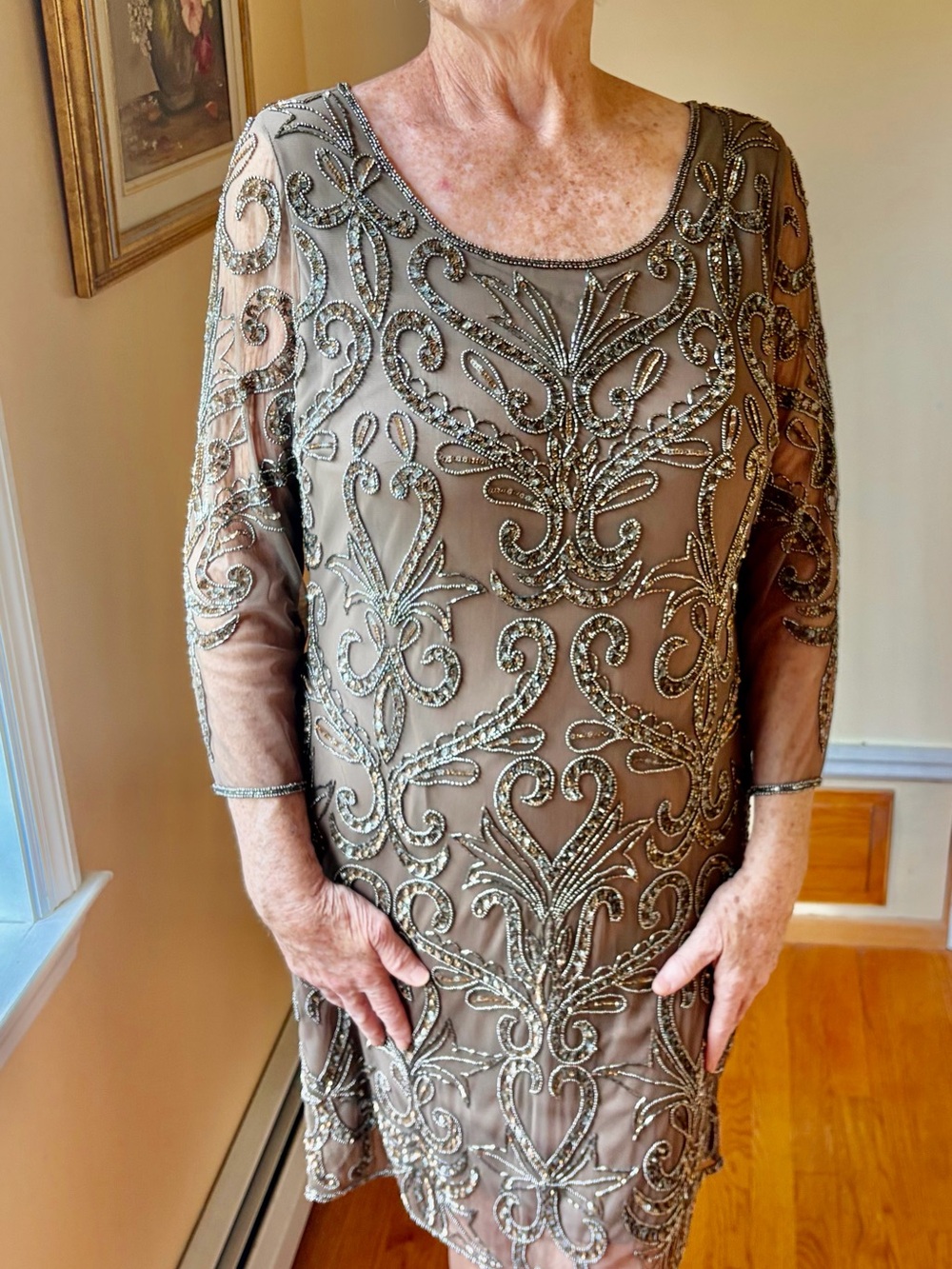 Adrianna Papell Mocha Beaded Sheer Overlay Evening Dress - Picture 3 of 12